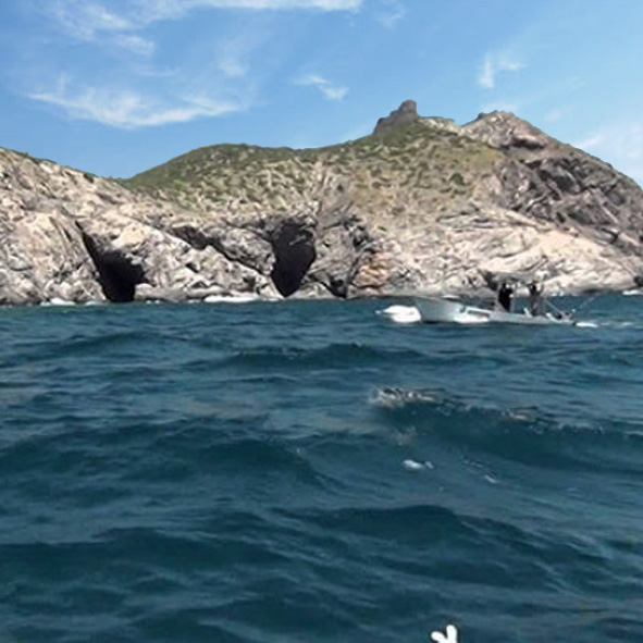 Isla San Pedro Nolasco